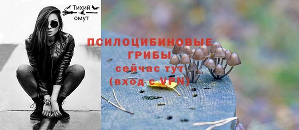 дмт Верхний Тагил