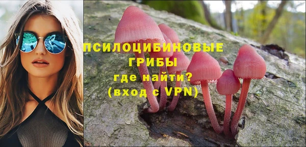 дмт Верхний Тагил