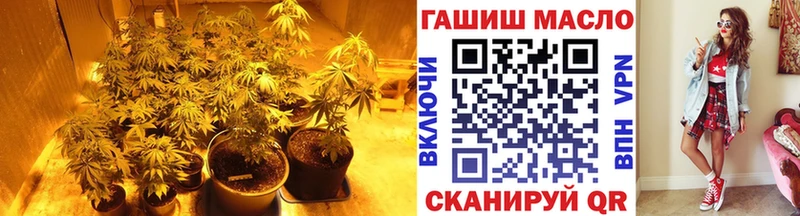 это клад Дигора ТГК THC oil