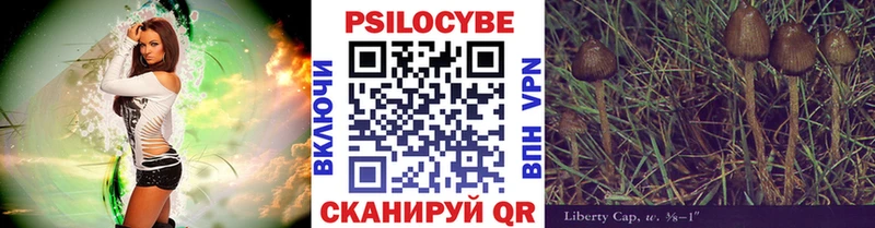 Галлюциногенные грибы GOLDEN TEACHER Дигора