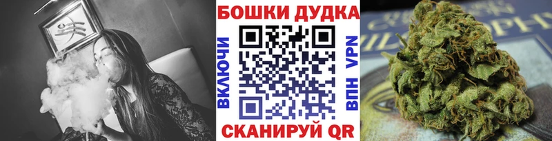 МАРИХУАНА сатива  Дигора 